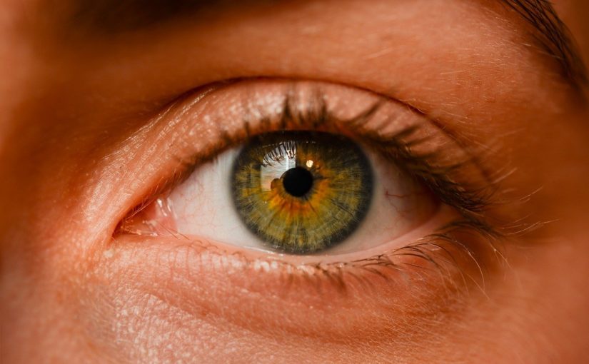 Oczy to niepowtarzalny organ. To dokładnie dzięki nim rozróżniamy.